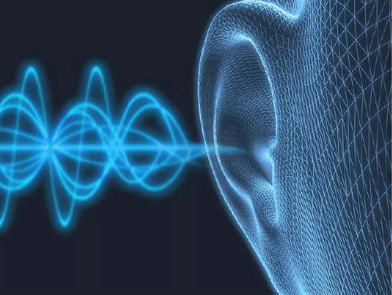 Ansys Sound