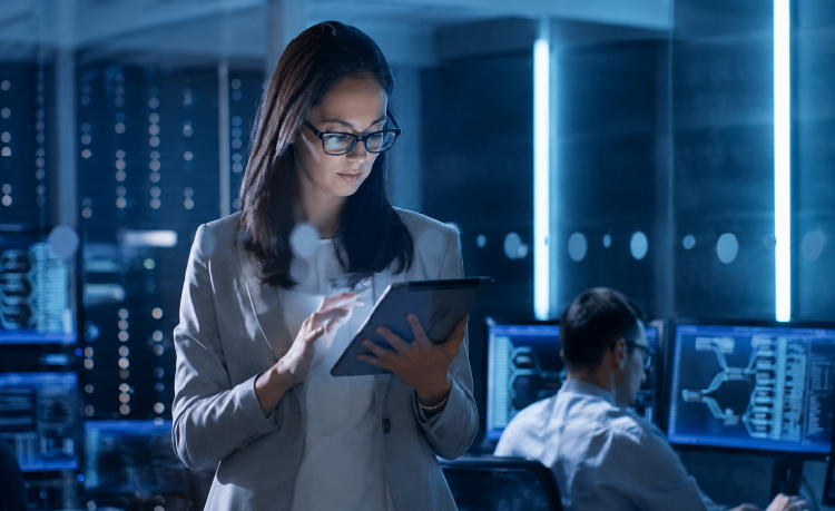 Ansys Digital Safety Manager